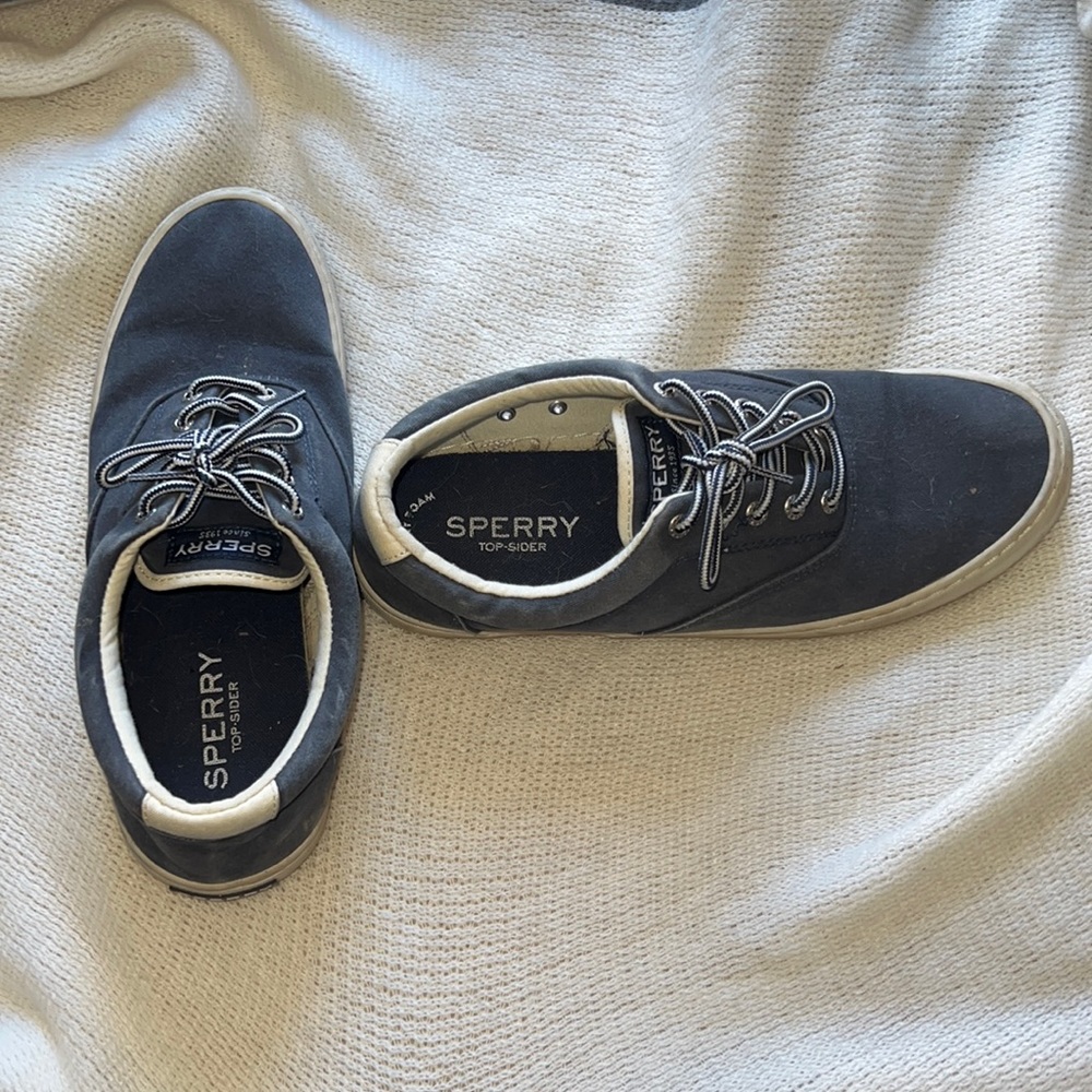 Sperry Blue Canvas Shoes